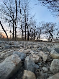 a view of a river with rocks and trees